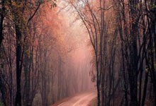 标识产品展示图片大全集简单又漂亮,产品的标识牌有什么用途