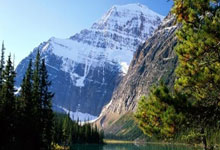 标识观点是什么意思呀啊怎么写的英语怎么读,标识理念