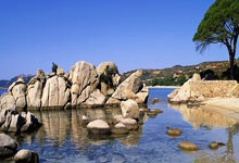 标识观点是什么类型思维导图的过程呢,标识的概念与作用